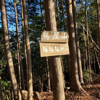 444も111も666も999999も皆んな
37の倍数だよ、知ってる❓