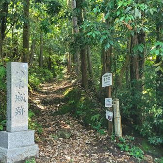 本格的な登山道