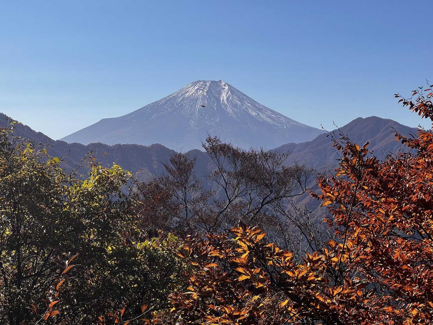 道坂隧道入口バス停-道坂峠-今倉山-松山-二十六夜山-赤坂 縦走コースの写真