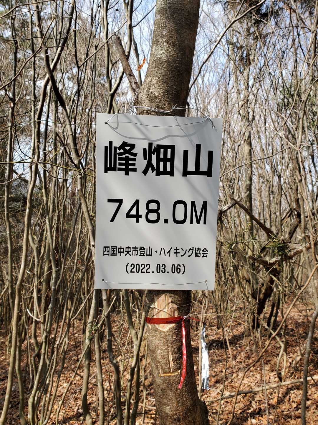 取り付けた山頂標識です！