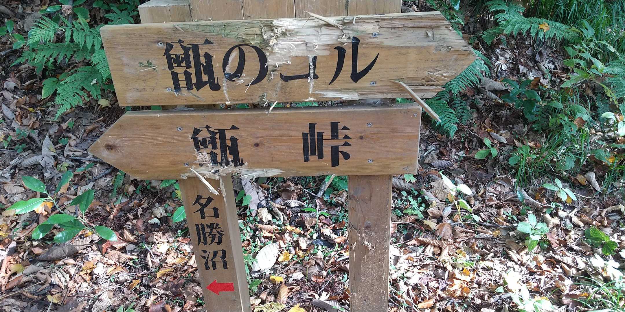 分岐🙆ここから、本格登り💪気合いだ～💪