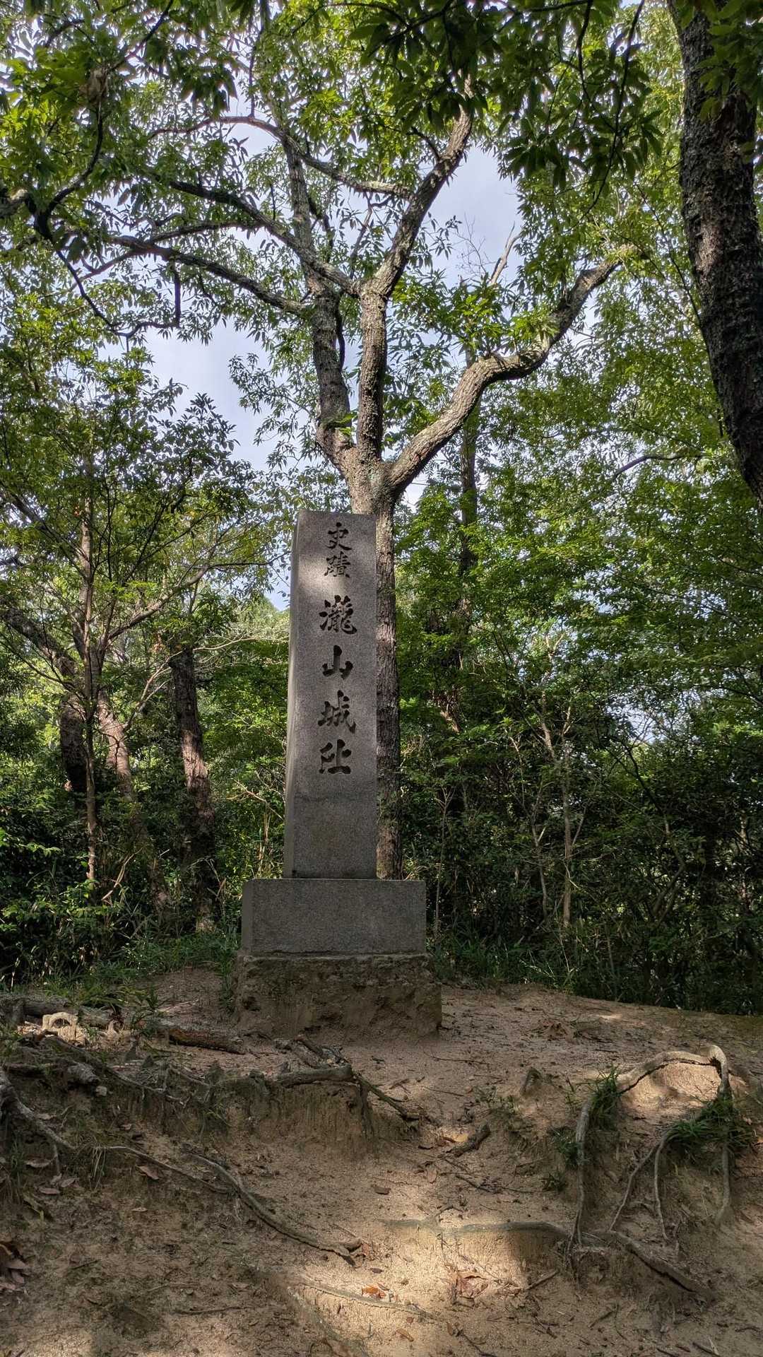 山城があった山頂に到着(YAMAPの山頂はもう少し先でした)