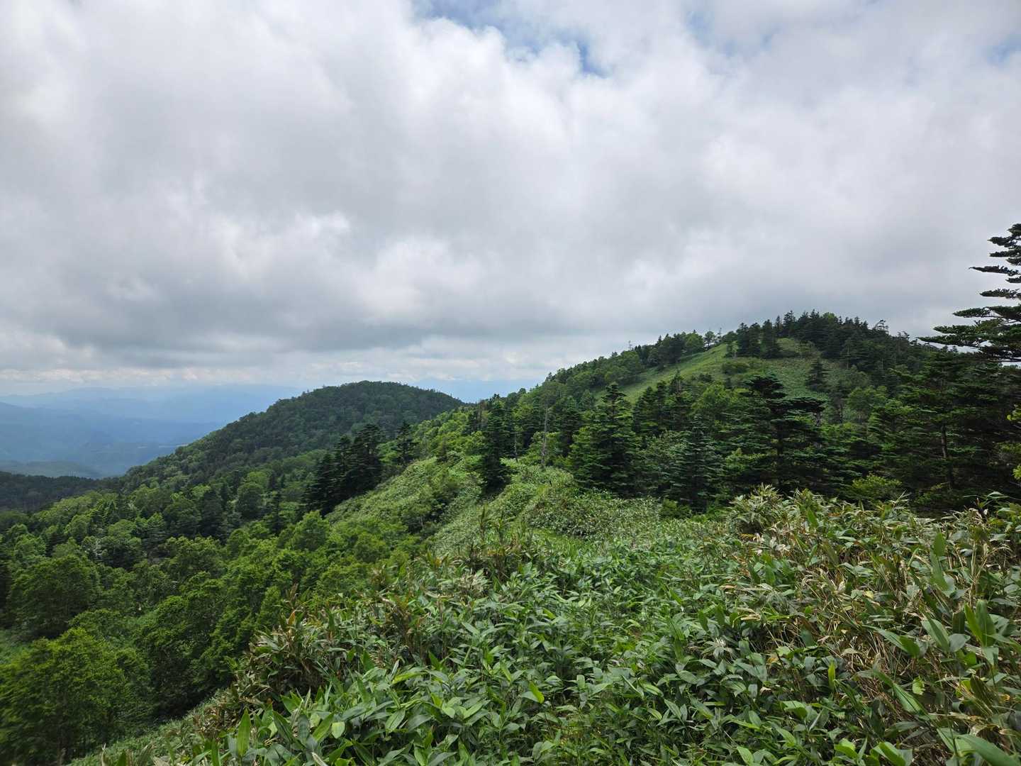 野反湖ビジターセンター-三壁山-高沢山-エビ山 周回コースの写真