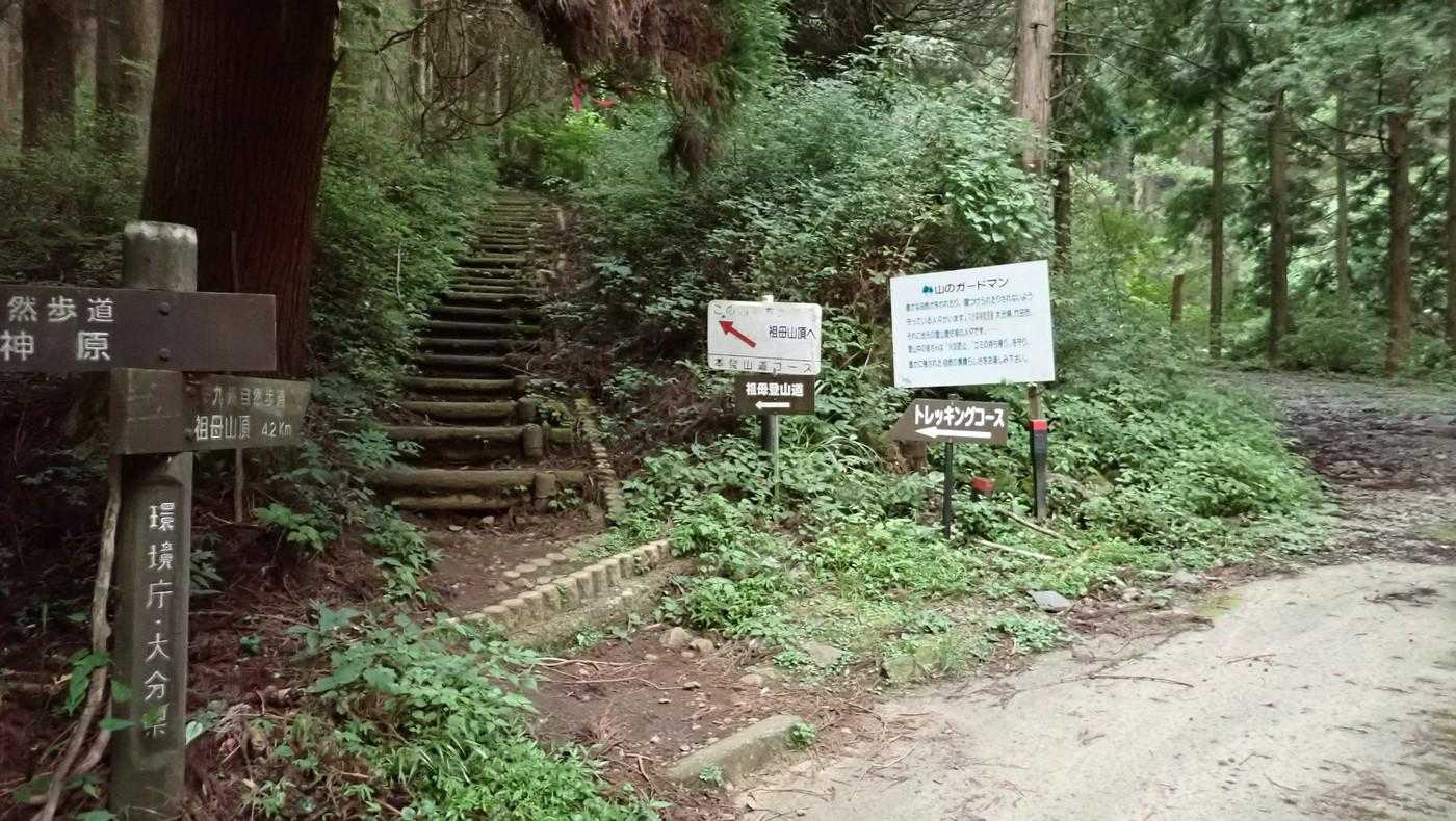 ここから登山道へ。