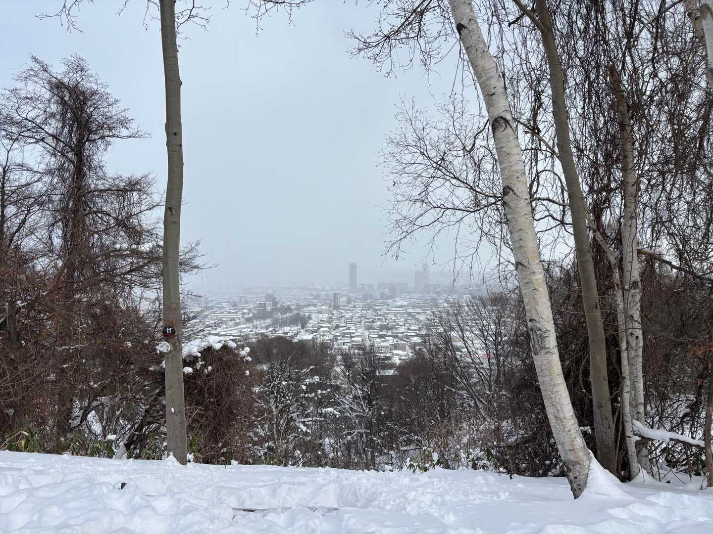 雪降ってるような雲