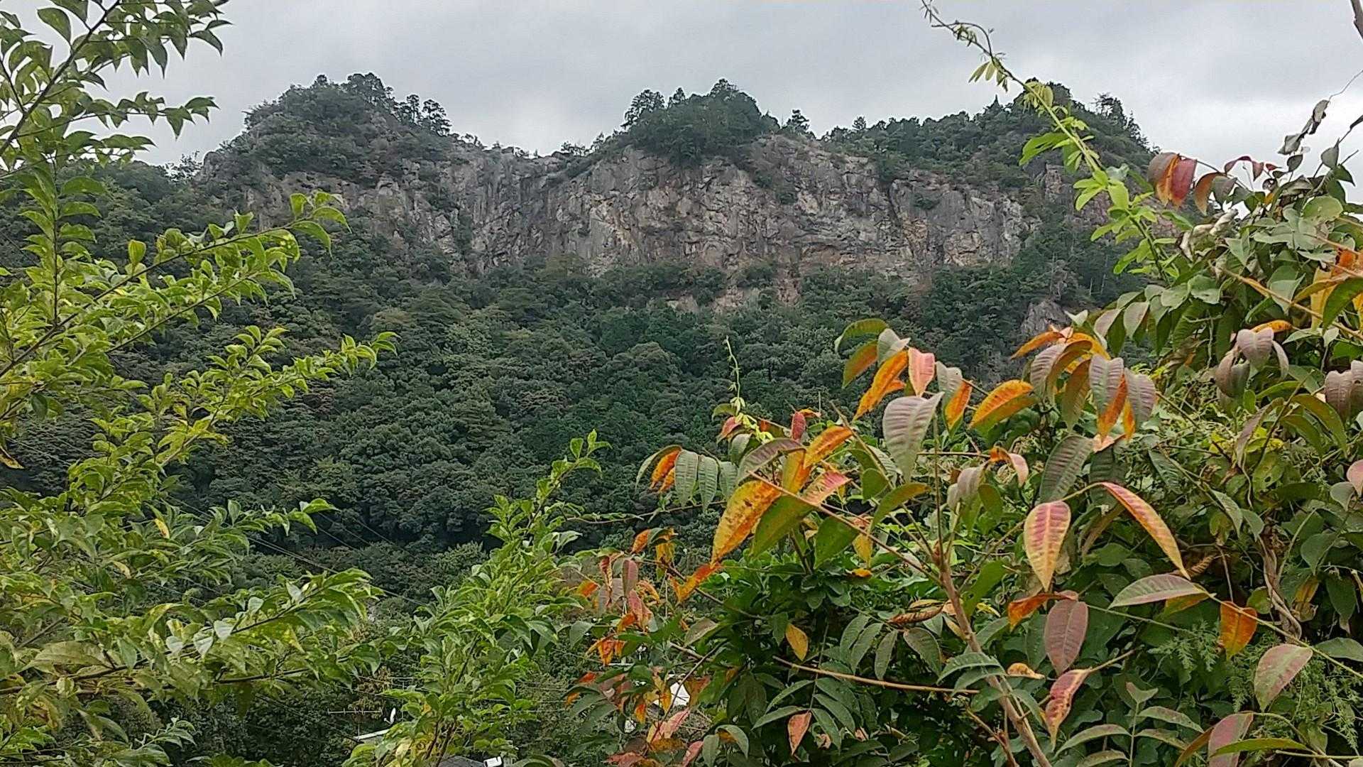 遠見山