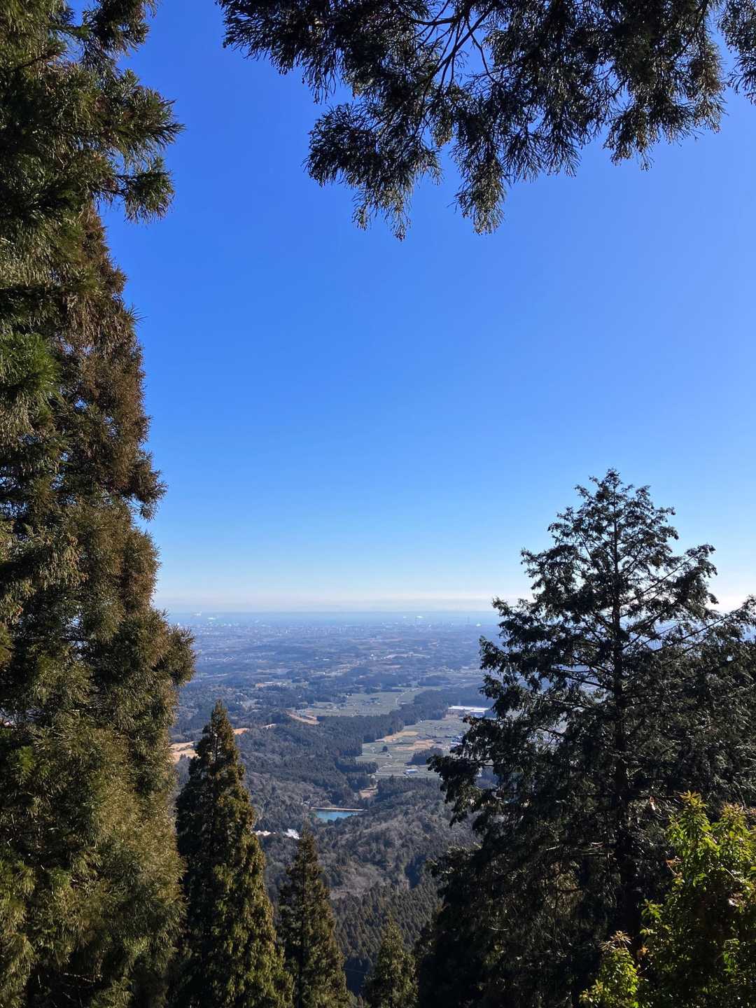 登山口からここまで「これぞ九十九折り！」な登り😅
やっと眺望が見えた👀