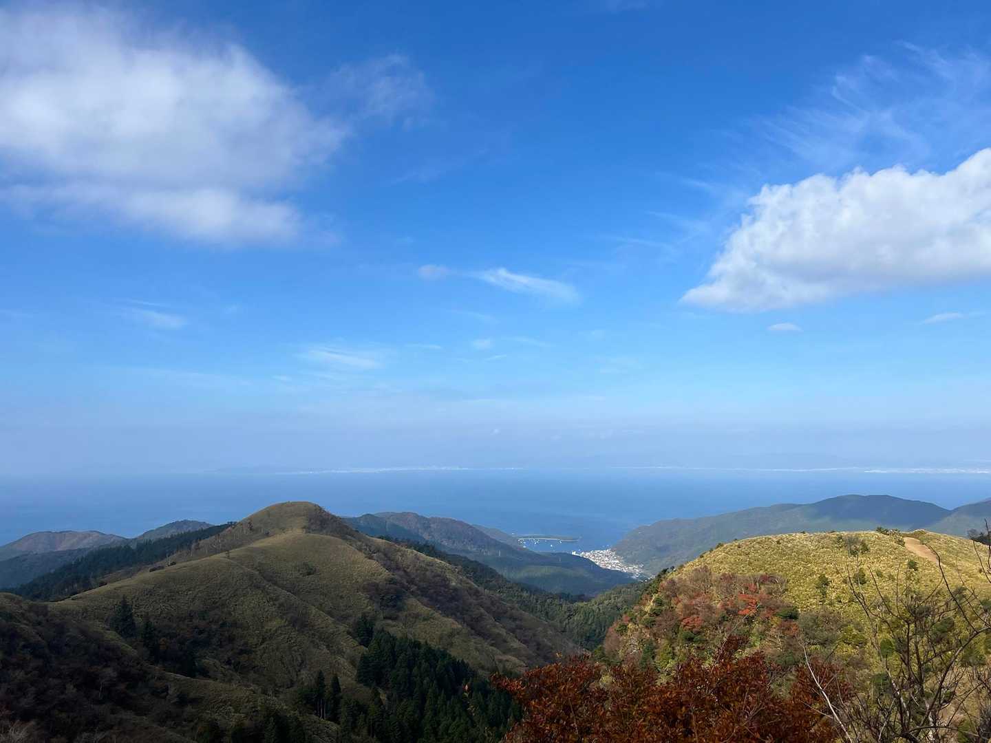 戸田峠-小達磨山-達磨山-古稀山-伽藍山 往復コースの写真