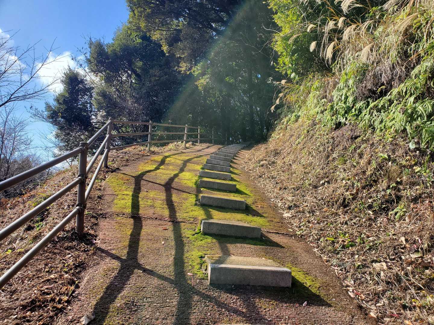 お次は、唐泉山への初チャレンジ😊