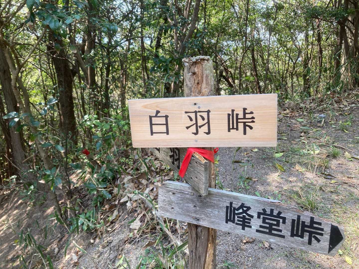 新しい標識🙇