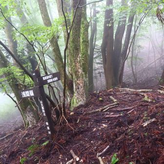 ここを右に入るともう少しで山頂です。