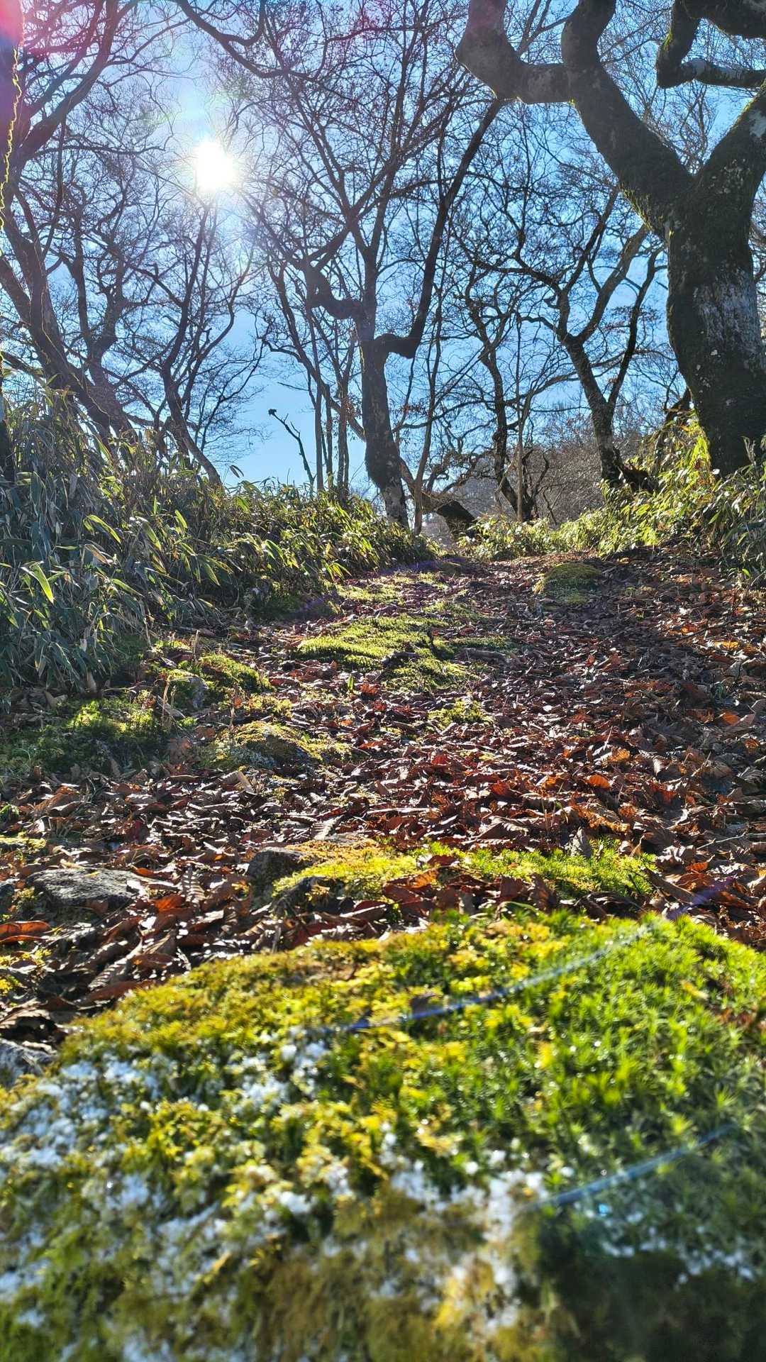 地蔵峠入口-仏谷山-細島峠-うつろぎ山 往復コースの写真