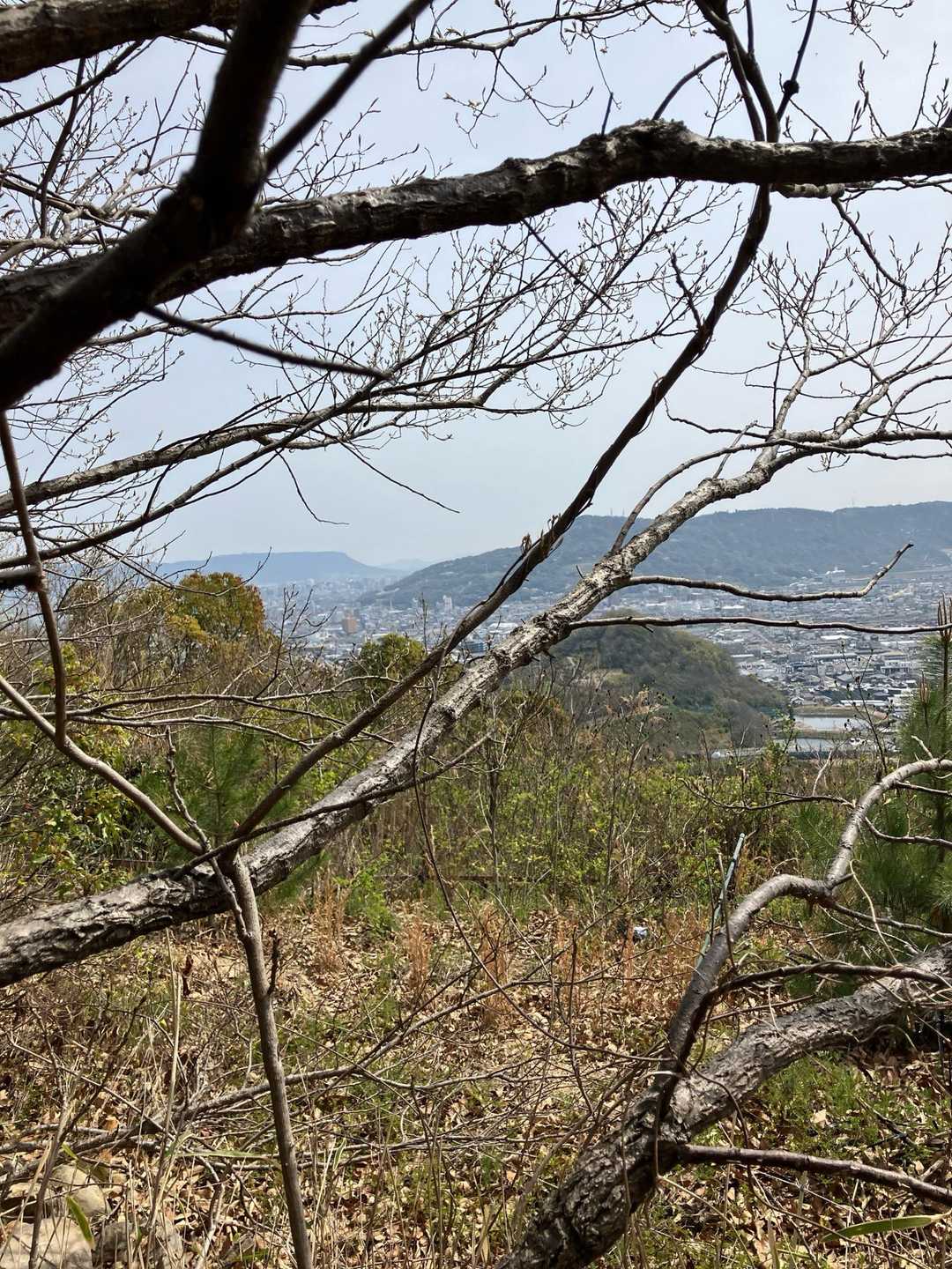 時々　開け　良い景色