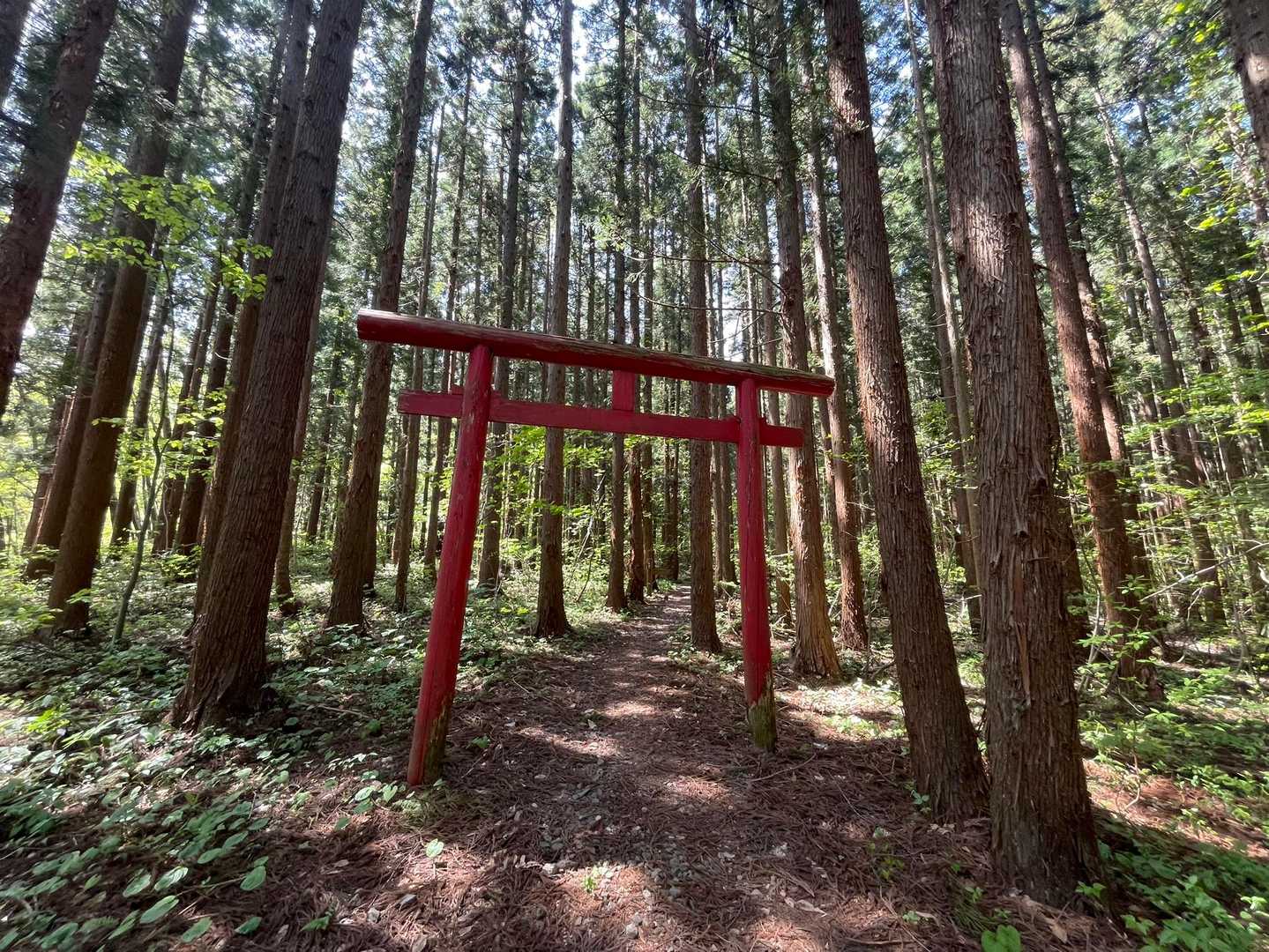 鳥居🙏