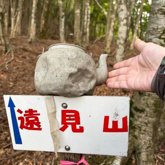 なんか愛おしい🤭