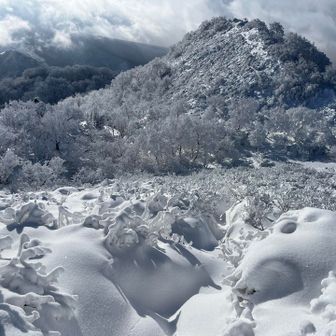 多分、写真の撮り方🤳が下手っぴ
こんなに暗闇チックじゃないよ
