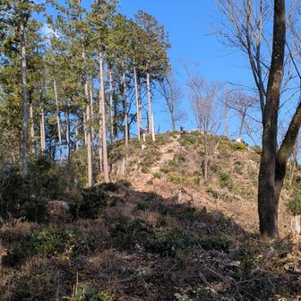 柏木山頂。雰囲気がよい