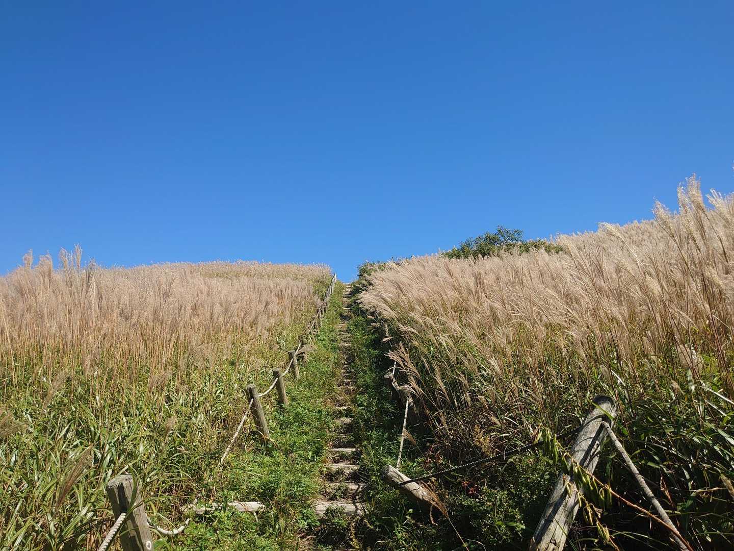 東の原登山口-三瓶観光リフト 山頂-大平山-奥の湯峠-風越 周回コースの写真