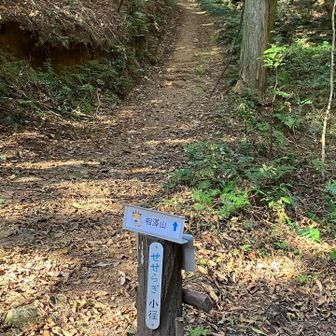 相澤山から下りたらすぐに分岐があって、せせらぎの小道から信貴山へ向かう　
せせらぎの小道は車道と合流するので、しばらくアスファルトの道
トイレがある