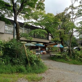 いつもは早朝に通過していたので店が開いてる所初めて見た
