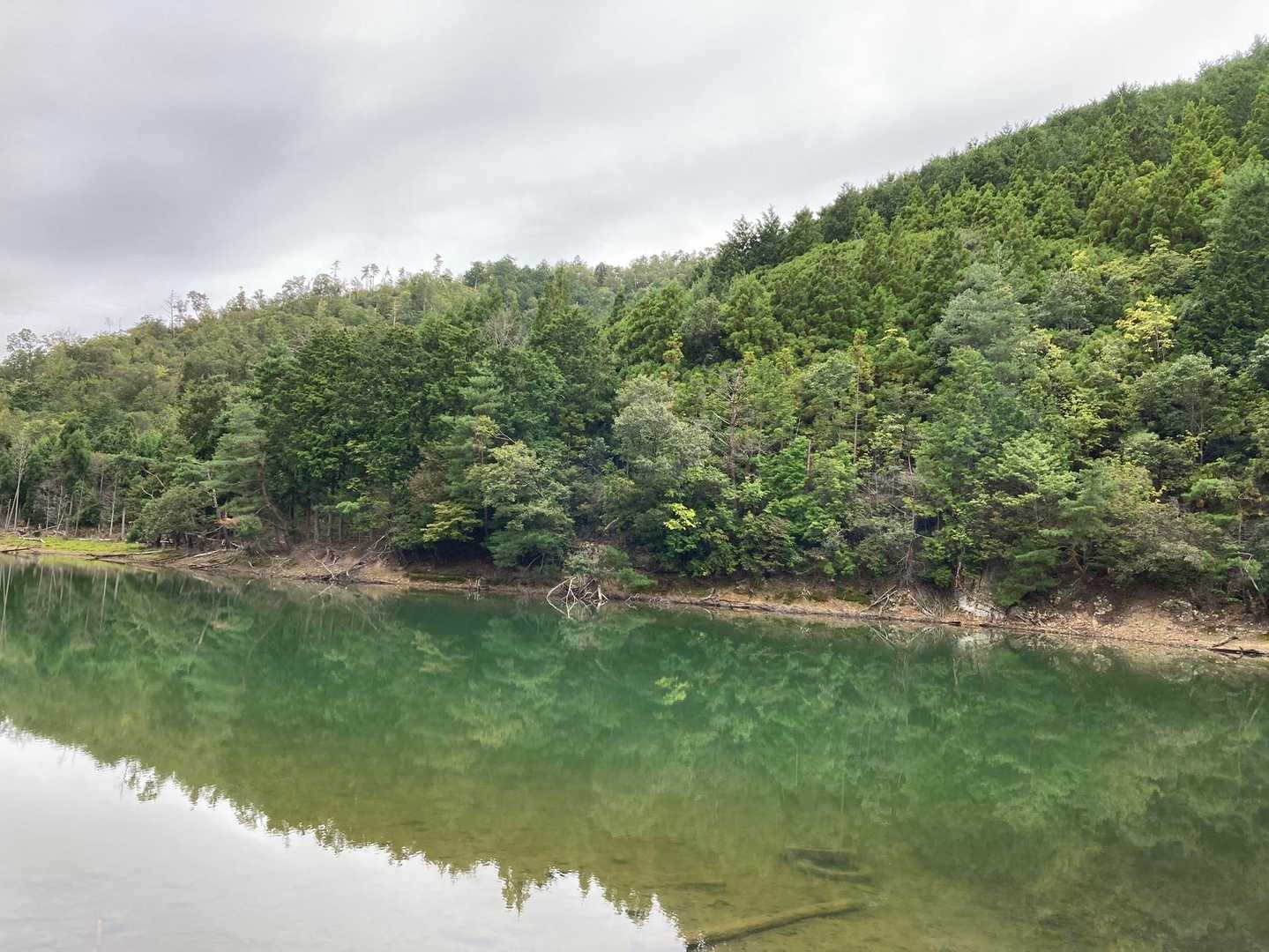 鷹峯源光庵前バス停-上ノ水峠-仏栗峠-栂尾町バス停 縦走コースの写真