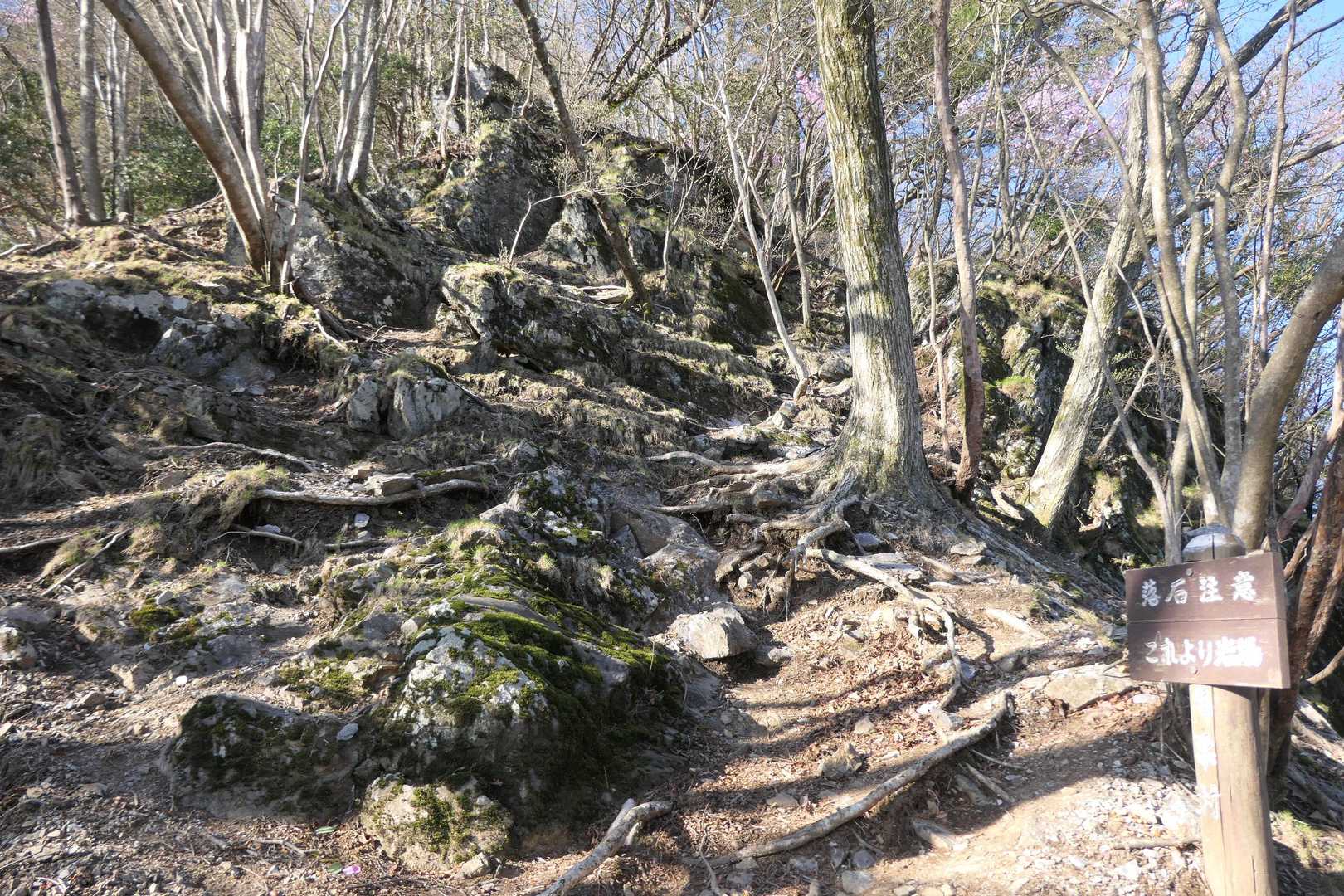 急登が続きます。