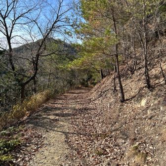 帰りは迂回ルートを通りました