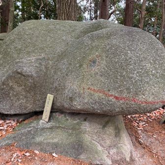 かえるちゃん🐸
また来る❓って😁
このあと、はだーちのお兄さん、hitoさんたちがひな壇で休憩してたので、寄り道。
いづみさんが雲興寺まで行ったけど、全然帰って来ないと😆
1人で行けたのかな