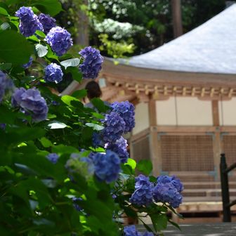 お寺をぐるっと一周して…
