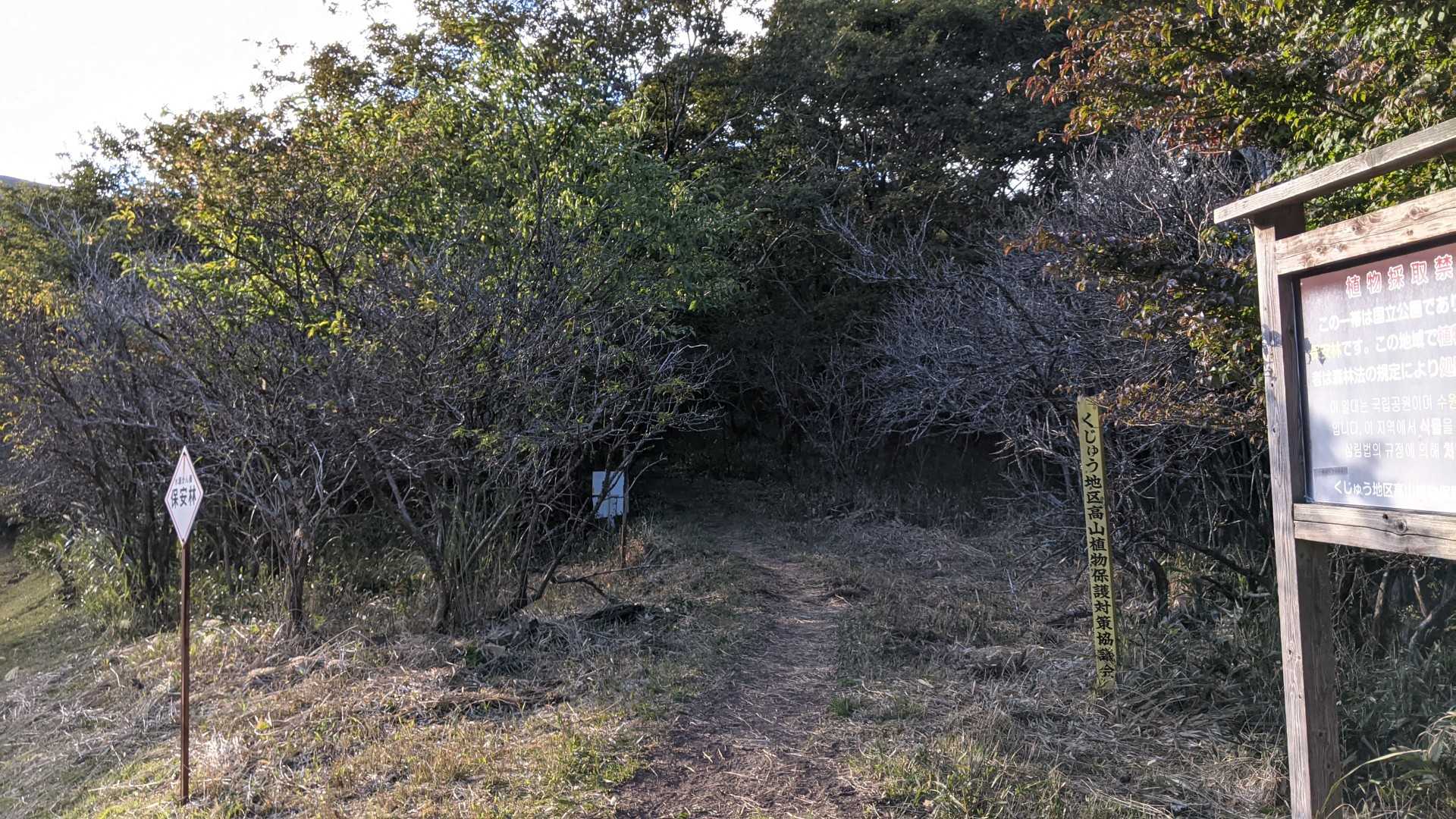 合頭山 往復コースの写真