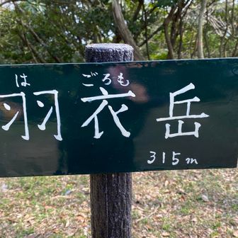 16座目
•••と、16座目の写真は撮ったけど
2座目がYAMAPに登録されてないようなので
14ピークゲット•••となりました✨