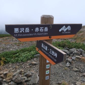 中岳は崩落が進んでいるため、標識では『立入禁止』になっています。
ちなみに、ここの分岐まで来れば前岳のピークは取れます。

荒川前岳(3,068m)