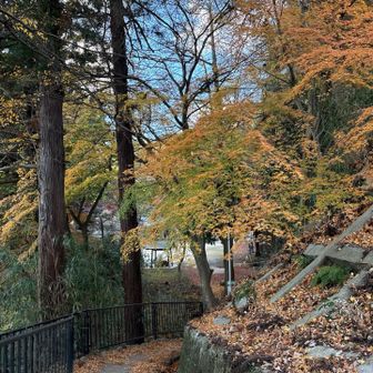 反対側から降りてみた