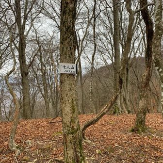 七人山にも立ち寄って

