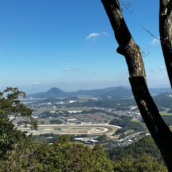 山頂からの眺めよし