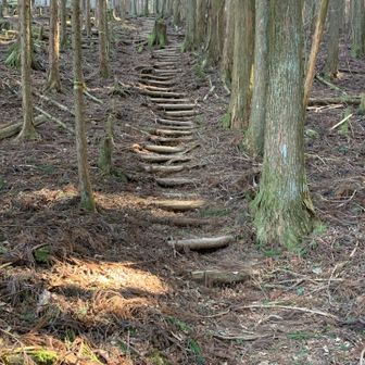楊柳山へ木の階段急登