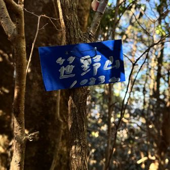 酒呑童子山から一旦林道へ降りてピークハントで笹野山。