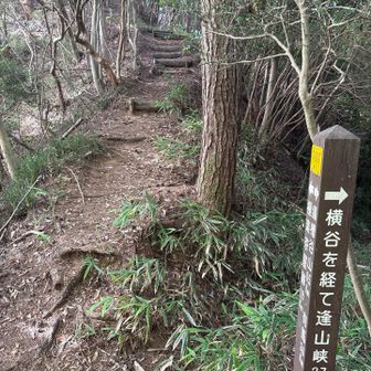 終わらない階段！
