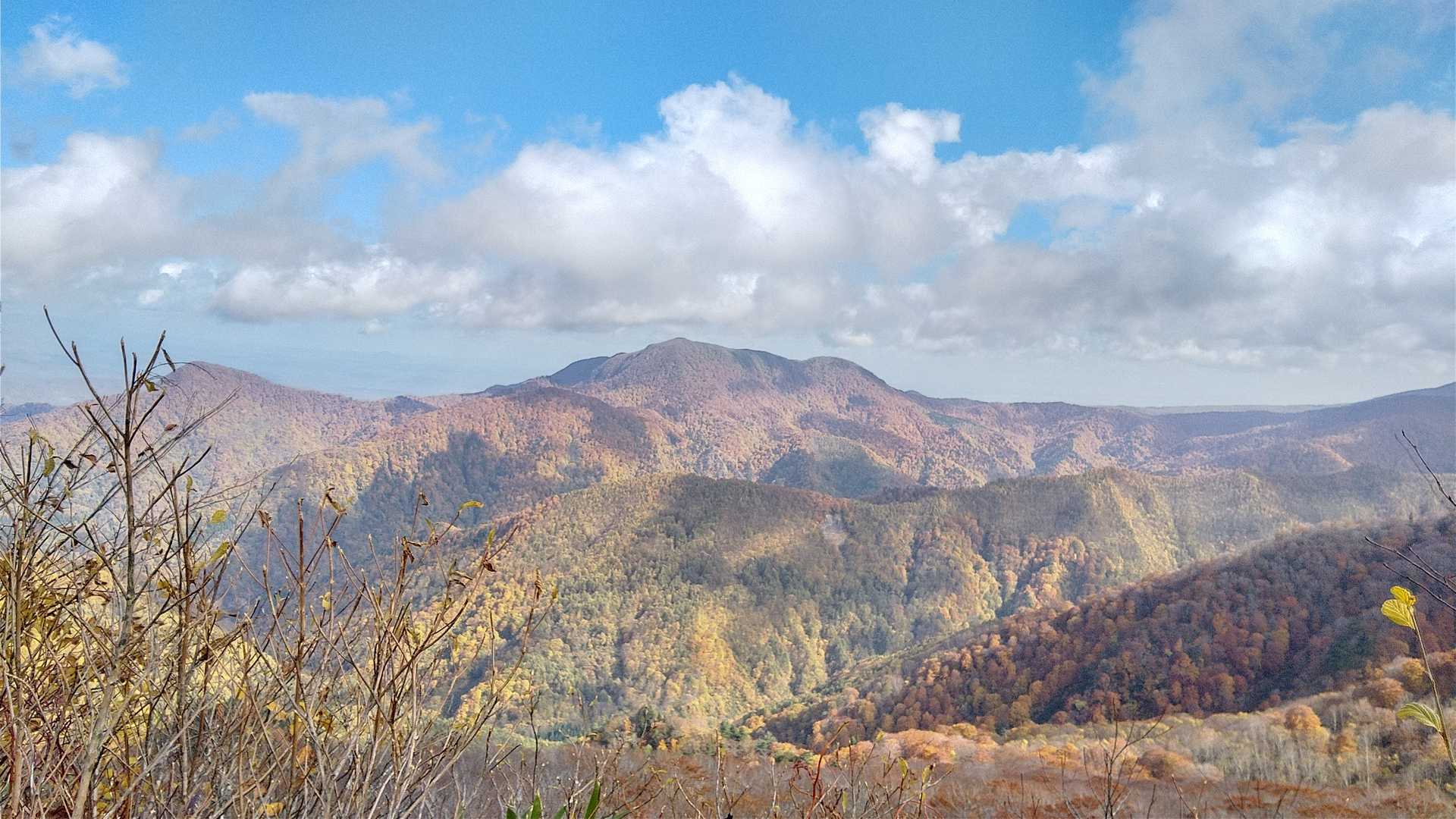 荒神山かな？