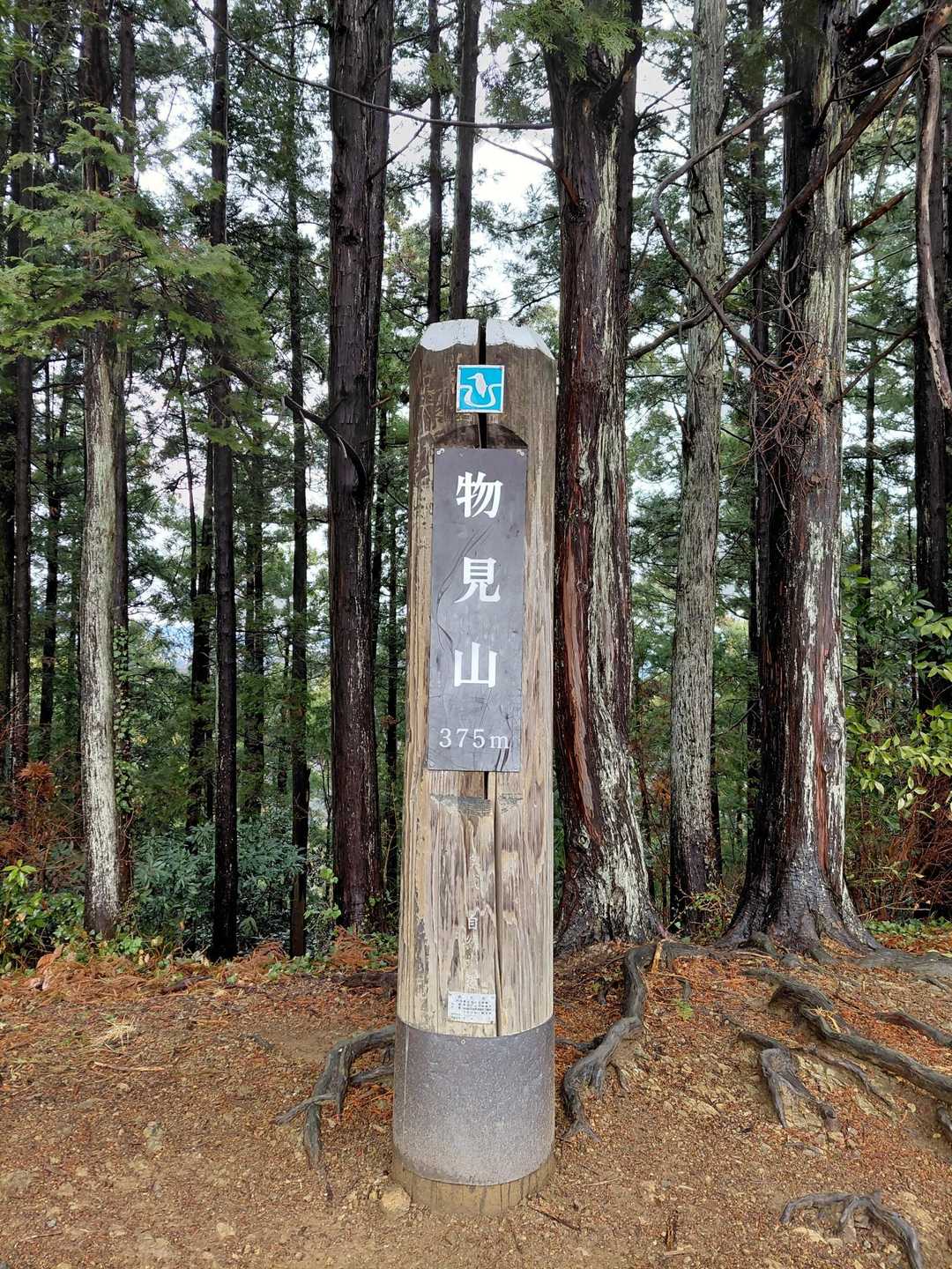 物見山山頂