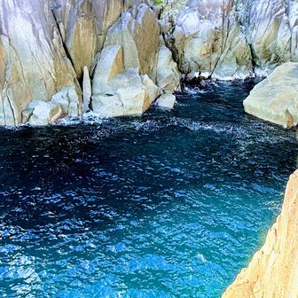 一日中見ていたい😍