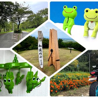では、帰りま〜す🛵💨
(👕洗濯日和でマリーゴールドが元気いっぱい😆)