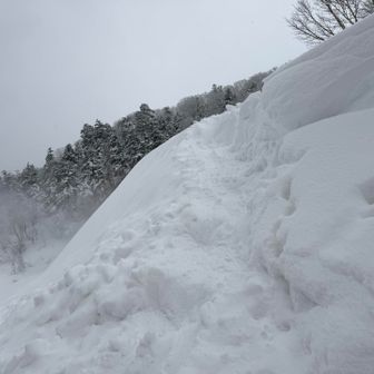 作ったルートを横から。何も無い状態だと、最後の1m弱のギャップが登れませんでした。垂直でしたので。
