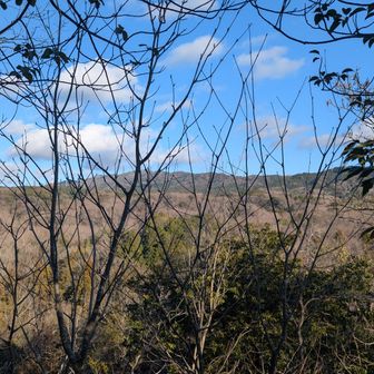 あれが山頂かー。