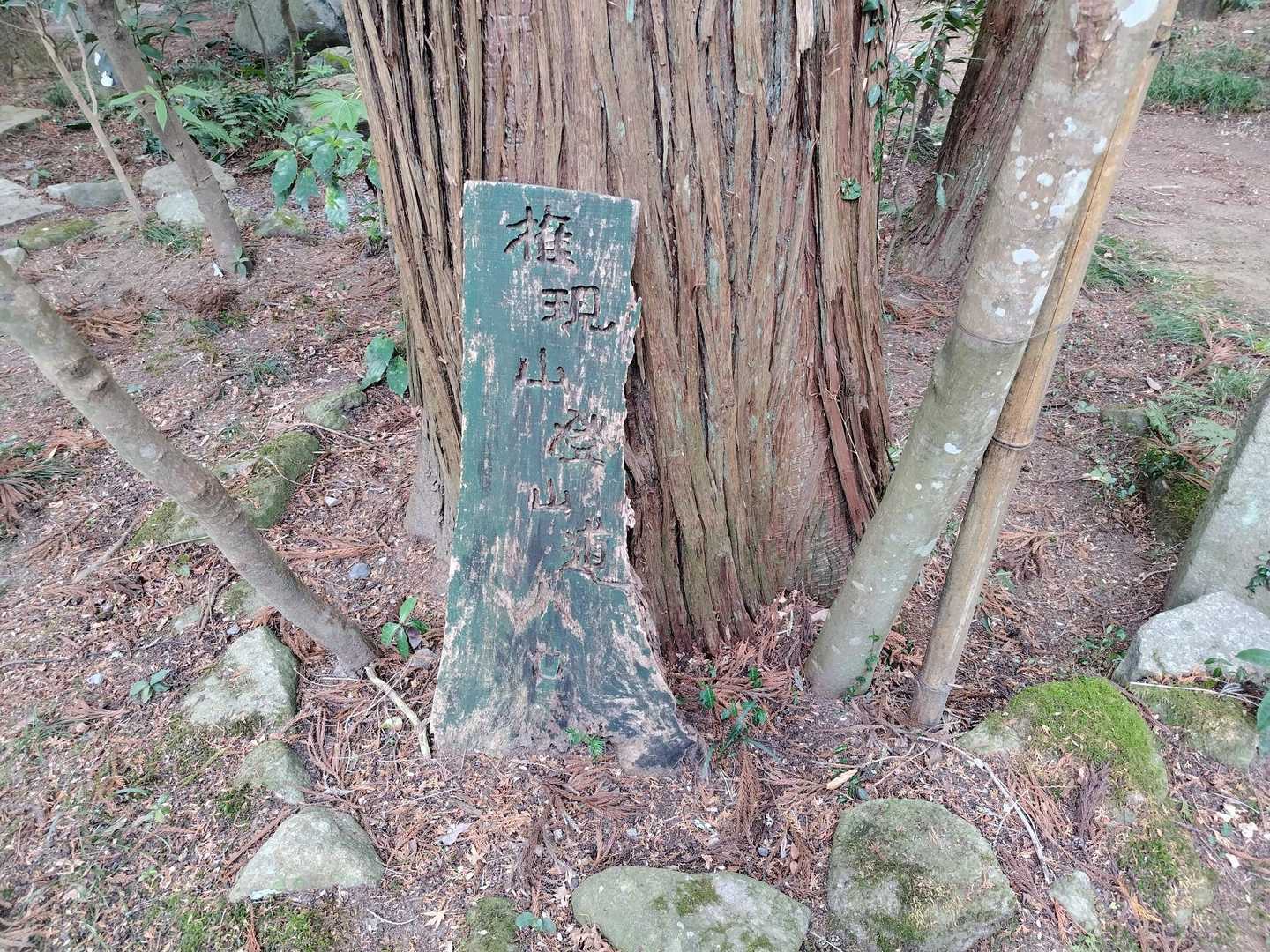 権現山（真壁富士）の登山道入口です　神社の参道からです