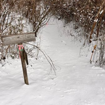 誰も歩いてないね...