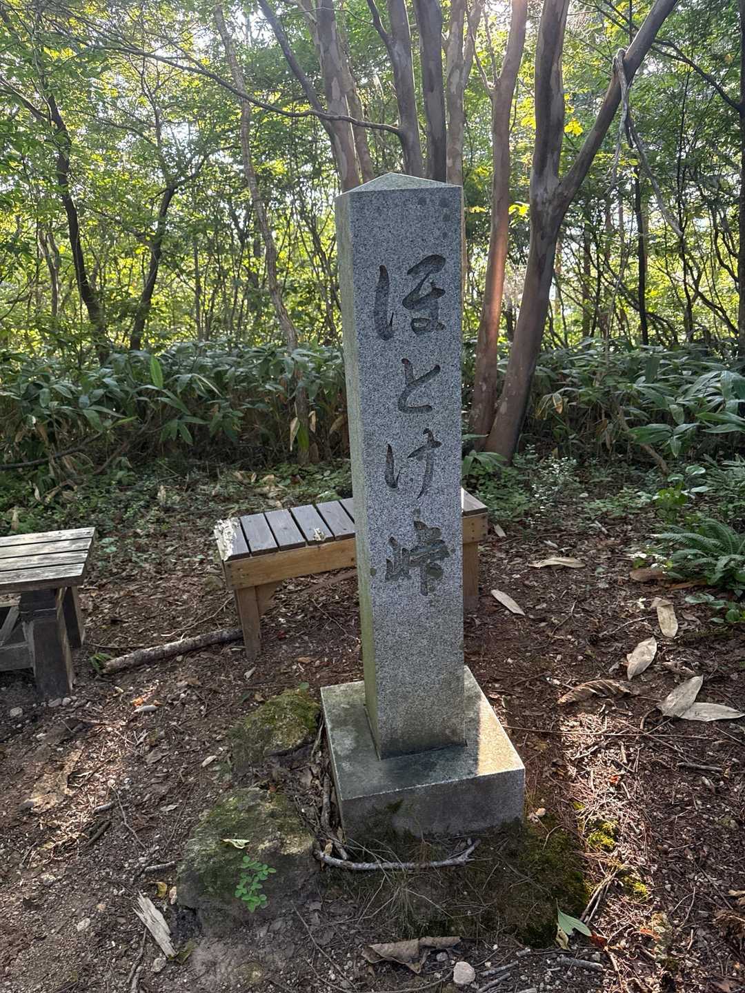 大倉岳登山口-ほとけ峠-大倉岳 縦走コースの写真