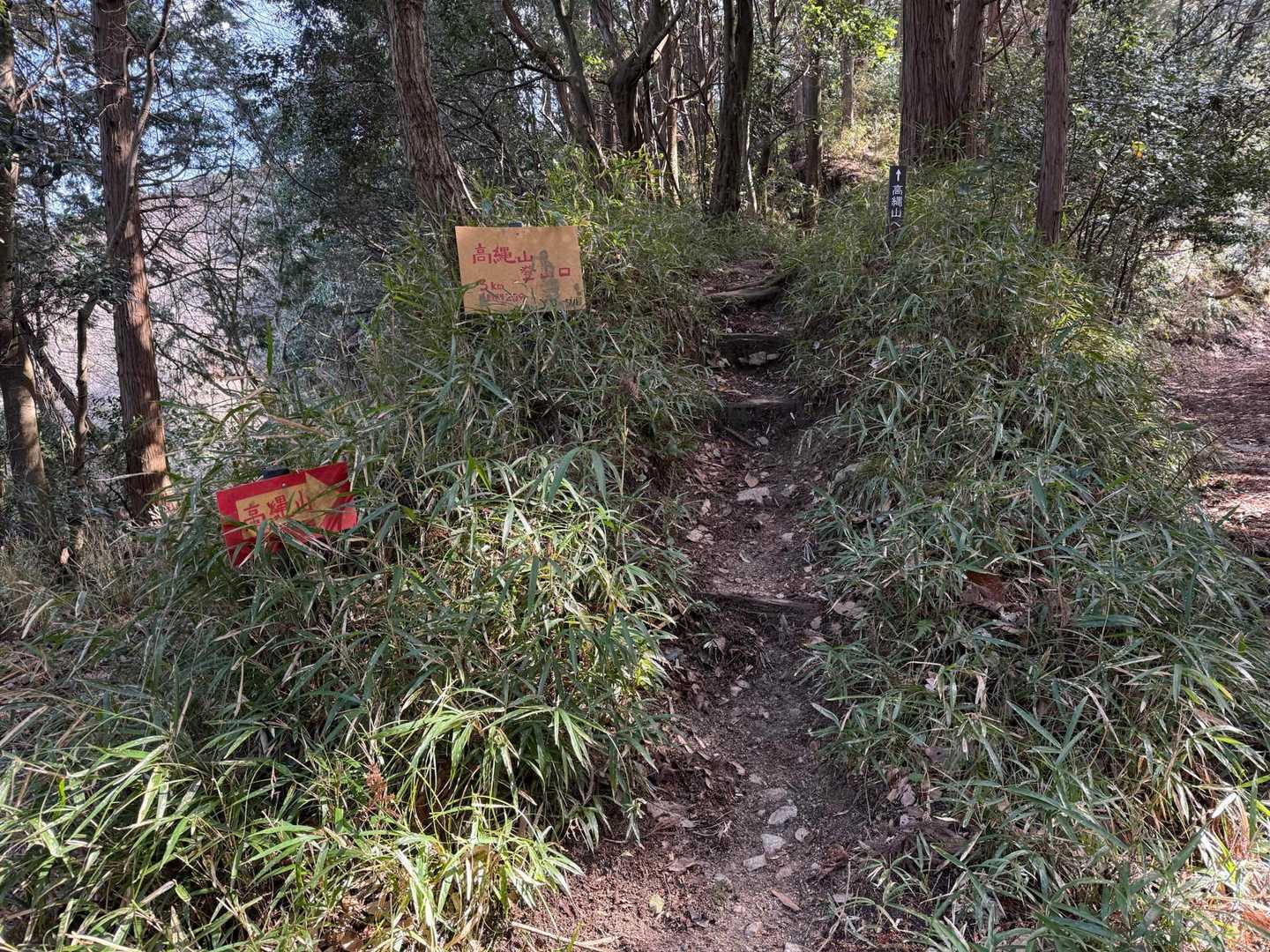 高縄山 往復コースの写真