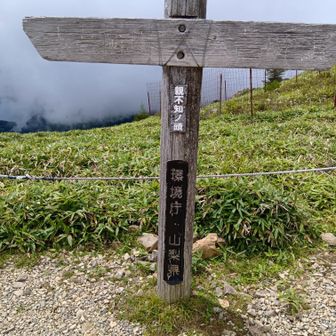 親不知ノ頭