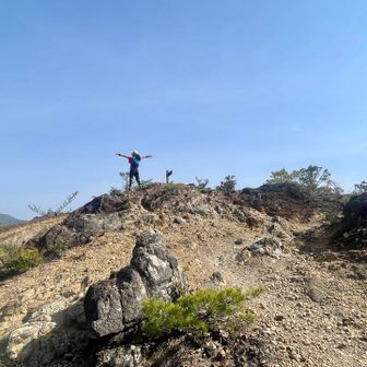 壮大感🙌
でも前より草木増えた気もする